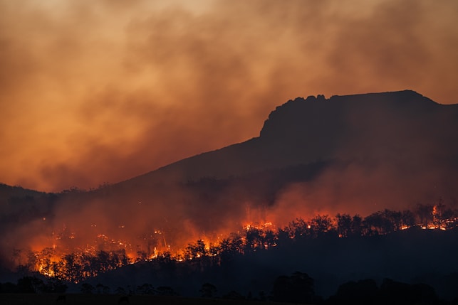 Active wildfire flames and smoke against a dark tree line at night